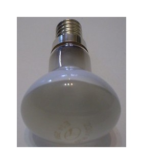 Veidr.lempos 25W E14 R39