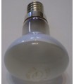 Veidrodinė lempa 25W E14 R39