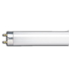lempa liumin. OSRAM 18W T8  590mm 1050lm dienos šviesos