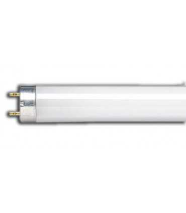 lempa liumin. OSRAM 18W T8  590mm 1050lm dienos šviesos