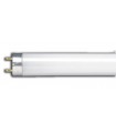 lempa liumin.  Bellight 18W T8   590mm/ 60cm (spekt. 840 trisluoksne)  dienos šviesos