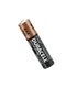Duracell šarminė baterija R3 (AAA) 1.5VØ10.5x44.5mmDuracell Industrial LR03