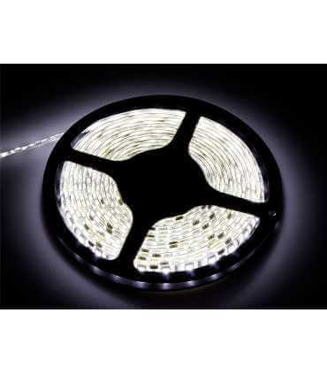 Švytinti hermetiška juosta 12V metre 60xLED5050 SMD neutrali , (5m-300LED ) - 1m kaina