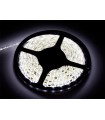 Švytinti hermetiška juosta 12V metre 60xLED5050 SMD neutrali  , (5m-300LED ) -  1m kaina