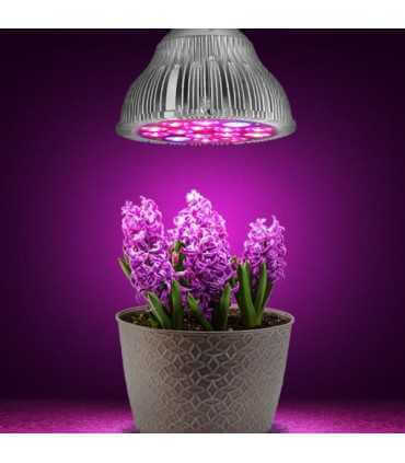 Lemputė LED E27 230V 15W 5x3W augalų auginimui, Raudona + Mėlyna, su lęšiu