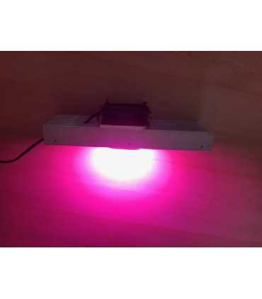 Pilno spektro 50W 220V LED modulis augalams+šilumai laidi pasta