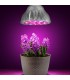Lemputė LED E27 3370 lux 92x80mm pilno spektro augalams auginti LED SMD 166RED+34BL