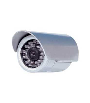 Spalvoto vaizdo kamera SEC-CAM31 su 24 IR-LED