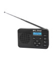 copy of Radio imtuvas AM/FM  ,Bluetooth grotuvas RA6  maitinimas AC230V arba 2xD baterijos