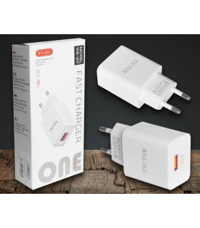 copy of Impulsinis maitinimo šaltinis H21A 5V  2,1A USB