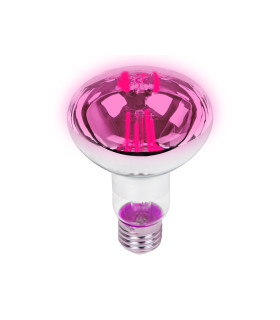 Pilno spektro lempa augalams auginti. E27 A60 LED 9W R80