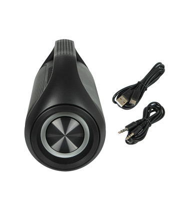 copy of Aktyvi plačiajuostė  12"kolonėlė PO-12A su USB & SD/MMC kortelių MP3 grotuvas ,Bluetooth