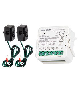 Išmanusis dvipusis dvikanalis energijos skaitiklis WiFi, TUYA