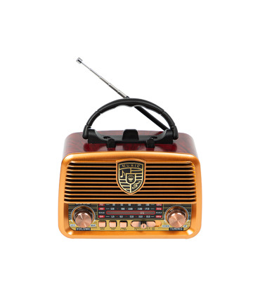 Nešiojamas analoginis AM/FM radijas BLOW RA10 su saulės baterija , akumuliatoriumi, „Bluetooth“ funkcija