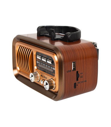 Nešiojamas analoginis AM/FM radijas BLOW RA16 su saulės baterija , akumuliatoriumi, „Bluetooth“ funkcija