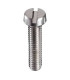 copy of Varžtas M2x5mm iškilia galvute cinkuotas plienas (100vnt)