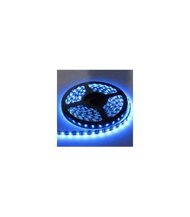 LED juosta 3xSMD5050 12V 5cm moduliukas plotis 10mm  mėlyna hermetiška 5m-72W