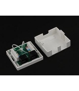 Rozetė virštinkinė dviguba (2xRJ45) 8P8C
