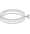 Dirželis stačiakampis Ø47.5x2.0mm bendras ilgis 149,23mm