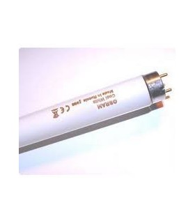 Lempa liumin. OSRAM 18W T8 590mm 1050lm šiltai balta(gelsva)