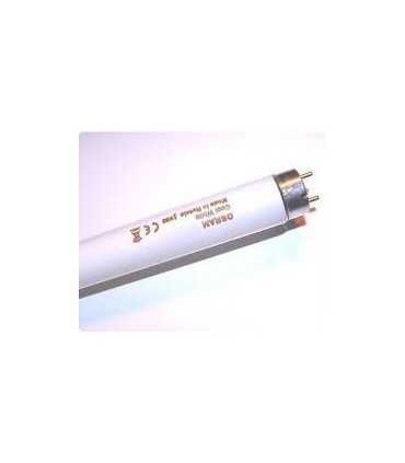 Lempa liumin. OSRAM 18W T8 590mm 1050lm šiltai balta(gelsva)